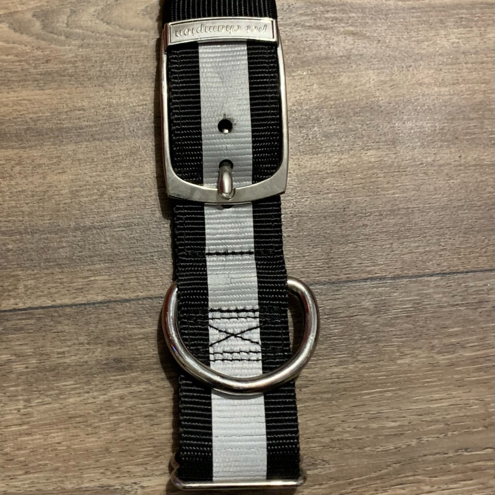 Pet Champion Dog Collar NWOT